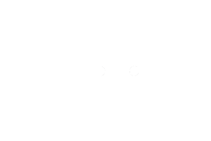 Zenit Diplomatic